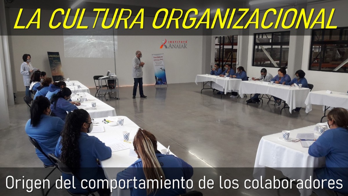 LA IMPORTANCIA DE LA CULTURA ORGANIZACIONAL